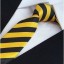Pánska kravata T1208 15