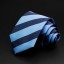 Pánska kravata T1211 22