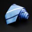 Pánska kravata T1211 24