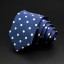 Pánská kravata T1211 35