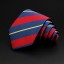 Pánská kravata T1211 5
