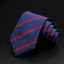 Pánska kravata T1211 7