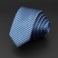 Pánska kravata T1218 24