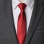 Pánska kravata T1221 2