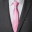 Pánská kravata T1221 4