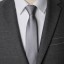Pánská kravata T1221 5