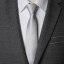 Pánská kravata T1221 10