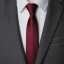 Pánská kravata T1221 7