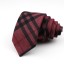 Pánská kravata T1230 24
