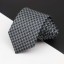 Pánská kravata T1232 10