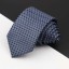 Pánska kravata T1232 11