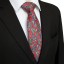 Pánska kravata T1236 11