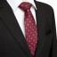 Pánska kravata T1236 14