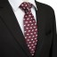 Pánska kravata T1236 15