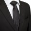Pánska kravata T1236 17