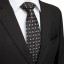 Pánská kravata T1236 19