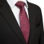 Pánska kravata T1236 20