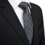 Pánska kravata T1236 2