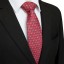 Pánska kravata T1236 21