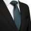 Pánska kravata T1236 23