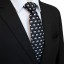 Pánská kravata T1236 5