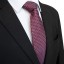 Pánska kravata T1236 8