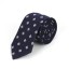Pánska kravata T1242 20