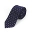 Pánska kravata T1242 2