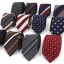 Pánska kravata T1242 1