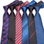 Pánska kravata T1247 1