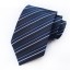 Pánska kravata T1251 2