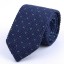 Pánska kravata T1269 2