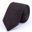 Pánska kravata T1269 6