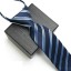 Pánska kravata T1277 16