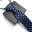 Pánska kravata T1277 31