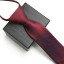 Pánska kravata T1277 32