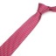 Pánska kravata T1281 6