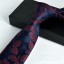Pánska kravata T1293 19