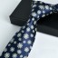 Pánska kravata T1293 22