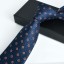 Pánska kravata T1293 28
