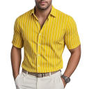 Pánska pruhovaná košela s krátkym rukávom a jemnými svislými pruhmi klasickým límcom gombíkmi po celej dĺžke a rovným spodným lemom 6