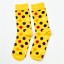 Pánské bavlněné ponožky s puntíky 9