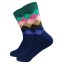 Pánske farebné ponožky - 5 párov 6