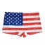 Pánske plavky s vlajkou USA 2