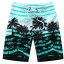 Pánské plážové šortky s palmami J2762 7