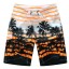 Pánske plážové šortky s palmami J2762 9