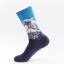 Pánske ponožky A2379 2