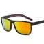 Pánské sluneční brýle E1966 5