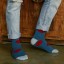 Pánske štýlové ponožky A2256 1