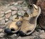Pánske turistické sandále J2204 6